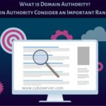 What is domain authority? Does domain authority consider an important ranking factor?