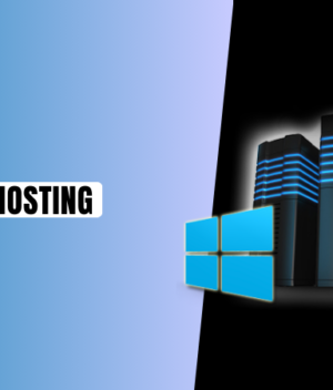 Top Windows VPS Hosting in India 2024